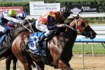 Mossin’ Around Eyes Melbourne Cup Carnival Run