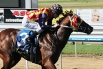 Under The Louvre resumes in Bel Esprit Stakes, has 2 state G1 targets in sight Under The Louvre resumes in Bel Esprit Stakes, has 2 state G1 targets in sight