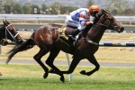 Hey Doc to warm up for Australian Guineas in Manfred Stakes Hey Doc to warm up for Australian Guineas in Manfred Stakes