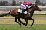 Hucklebuck will be at his peak for Futurity Stakes