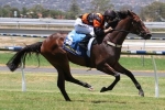 With A Bit Of Dash home town hope in Schweppes Oaks With A Bit Of Dash home town hope in Schweppes Oaks