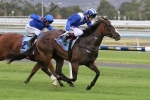 Haybah To Take Forward Golden Slipper Field Position Haybah To Take Forward Golden Slipper Field Position
