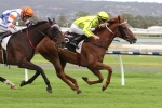 2015 Adelaide Cup Field Released