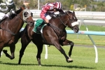 Distillation on track for Adelaide Cup with win in Lord Reims Stakes