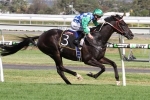 Sydney Cup the Target for Signoff
