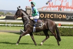 Signoff on track for Makybe Diva Stakes start