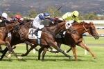 2015 Adelaide Cup Results: Tanby Scores Narrow Win
