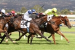 2015 Adelaide Cup Results: Tanby Scores Narrow Win 2015 Adelaide Cup Results: Tanby Scores Narrow Win