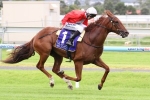 Deiheros takes low key path to Golden Rose Stakes Deiheros takes low key path to Golden Rose Stakes