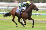 Sunset Rock to shine in Lightning Stakes