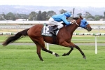 New rider needed for Annus Mirabilis in 2017 Sydney Cup New rider needed for Annus Mirabilis in 2017 Sydney Cup
