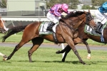 2016 Adelaide Cup results: Purple Smile wins 2016 Adelaide Cup results: Purple Smile wins