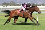 Smerdon Confident Every Faith Will Be Competitive In Queensland Oaks Smerdon Confident Every Faith Will Be Competitive In Queensland Oaks