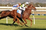 Jim’s Journey outside chance of winning Adelaide Cup Jim’s Journey outside chance of winning Adelaide Cup
