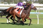 Waterhouse has Driefontein primed for Sportingbet Classic