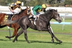 Girl In Flight To Australasian Oaks After Schweppervescence Stakes Win