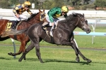 Girl In Flight Can Overcome Poor Australasian Oaks Barrier Draw Girl In Flight Can Overcome Poor Australasian Oaks Barrier Draw