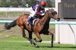 Go Indy Go To Make Group 1 Debut In Champagne Stakes