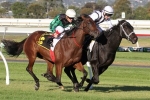 Australasian Oaks favourite Silent Sedition draws well at 7