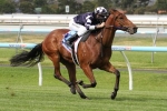 Bullpit Chasing Maiden Group Win In Darley National Stakes
