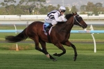 Macdonald Thrilled With Essay Raider Ahead Of 2014 The Goodwood
