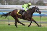 Adelaide filly Maybe Discreet Wins Australasian Oaks