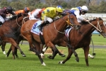 Punt Paying off with Brisbane Cup Hope Midsummer Sun Punt Paying off with Brisbane Cup Hope Midsummer Sun
