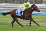 Platelet Flies Home for Group 1 Robert Sangster Win