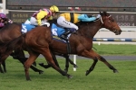 Atlantis Dream Claims Stakes Win In Queen Of The South Stakes