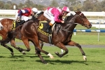 2015 South Australian Derby Tips: Delicacy The Horse To Beat