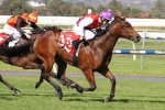 Strykum Value At Cap D’Antibes Stakes Odds Strykum Value At Cap D’Antibes Stakes Odds