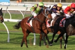 Thermal Current Back To His Best In McKay Stakes