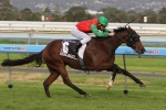 Matt Laurie celebrates first G1 with SA Derby win