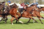Egg Tart Is The 2017 Australasian Oaks Winner Egg Tart Is The 2017 Australasian Oaks Winner