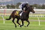 2016 Australasian Oaks Results: Abbey Marie Wins 2016 Australasian Oaks Results: Abbey Marie Wins