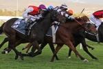 Magic Boy to be tested for Queensland Guineas start Magic Boy to be tested for Queensland Guineas start