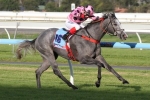 Miss Steele Claims Victory in 2014 Proud Miss Stakes