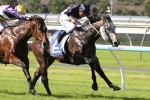 Price Duo To Improve From McNeil Stakes Run Price Duo To Improve From McNeil Stakes Run