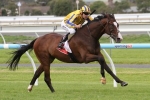 Ominous Displays Keen Turn of Foot to Claim 2014 Port Adelaide Cup