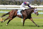 Smerdon possible two prong attack on Queensland Oaks