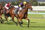 Rhythm To Spare Comfortably Wins 2014 RA Lee Stakes