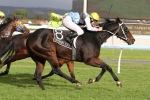 Smokin’ Joey Works Strongly Ahead Of Kingston Town Classic