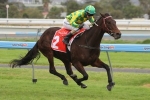 Zipping Classic Or Ballarat Cup For Lake Sententia Zipping Classic Or Ballarat Cup For Lake Sententia