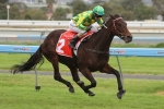 Zipping Classic Or Ballarat Cup For Lake Sententia