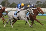 Linton in line for a Stradbroke Handicap start