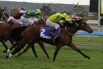 Platelet To Improve In Gilgai Stakes Platelet To Improve In Gilgai Stakes