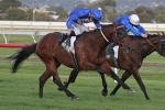Howard Be Thy Name makes it 4 straight with South Australian Derby win Howard Be Thy Name makes it 4 straight with South Australian Derby win