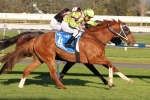 Itz Invincible to face toughest test in Kensington Stakes