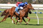 Dane Ripper Stakes Next for Hazard