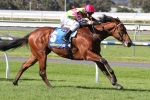 Prince Of Brooklyn’s AR Creswick Series Final Odds Firm